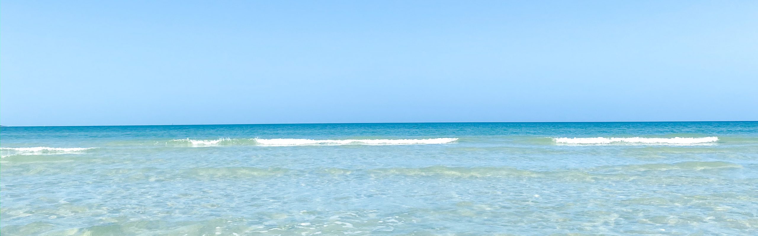 Ravenn Kramer: Tampa Bay Blogger